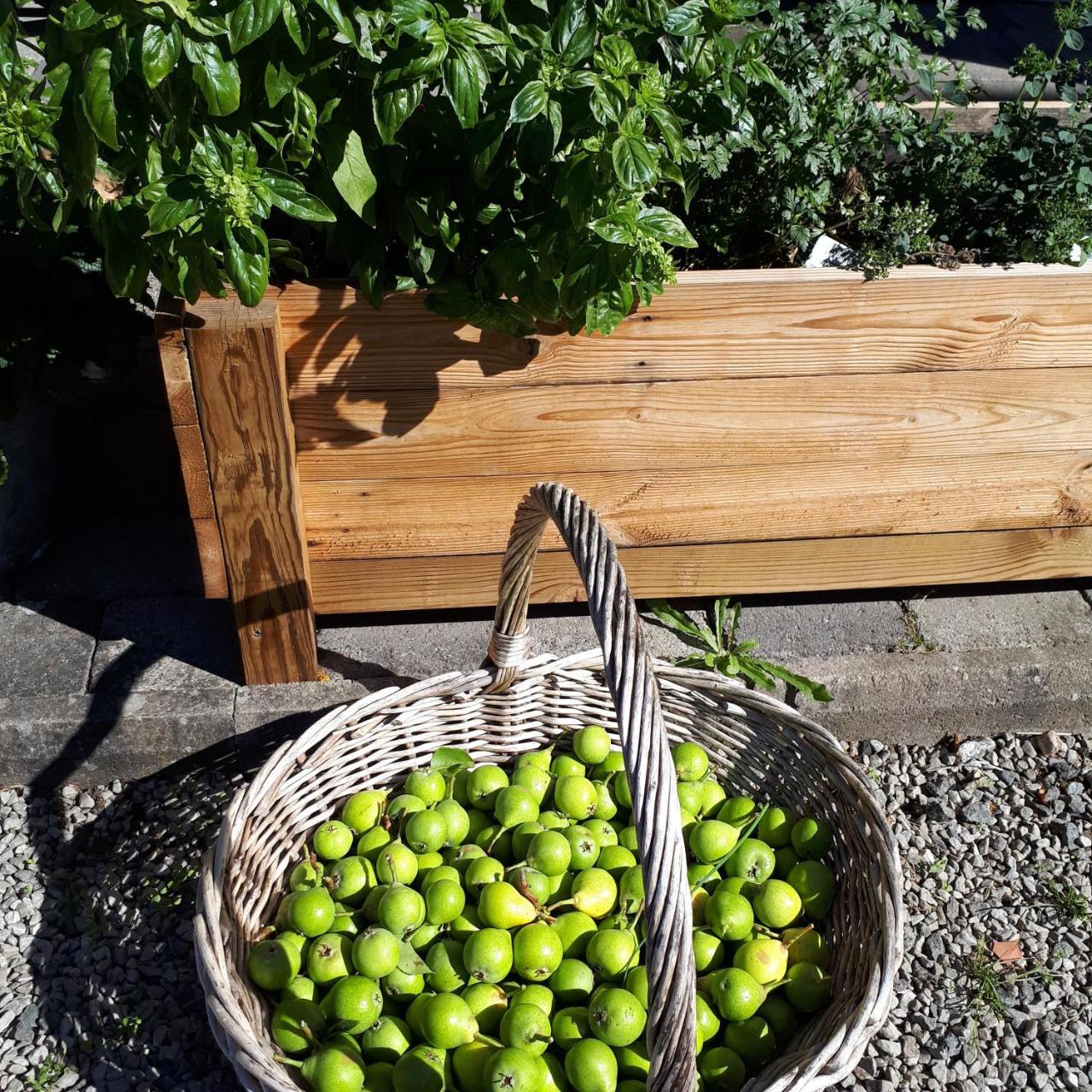 Vita Stenen Rum Och Restaurang Sankt Olof Dış mekan fotoğraf
